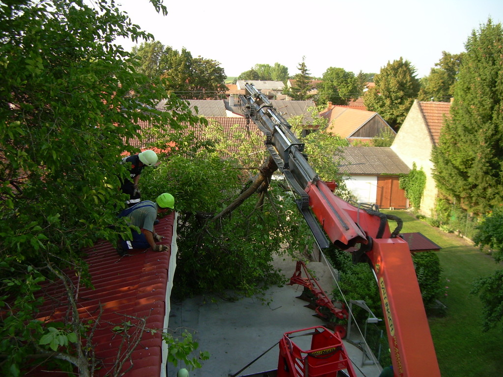 Baumschneiden – 2009-08-27