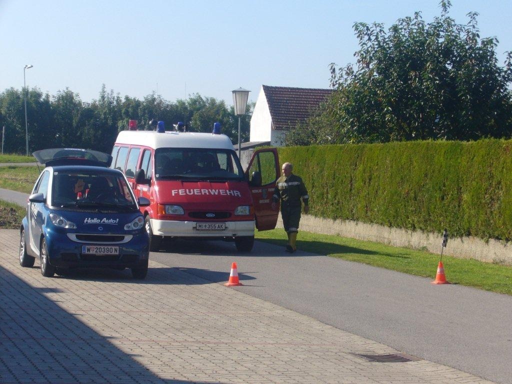 Hallo Auto 2010