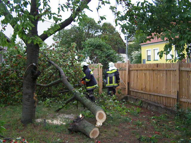 Technischer Einsatz – 2012-06-05