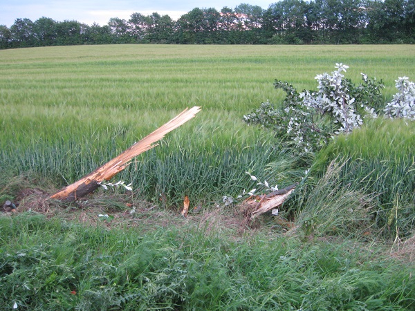 Fahrzeugbergung – 2016-06-12