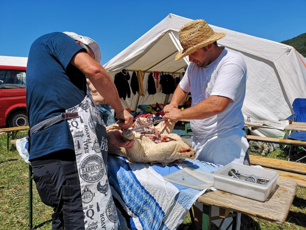 Landesfeuerwehrbewerb Traisen, 28.06.2019 -