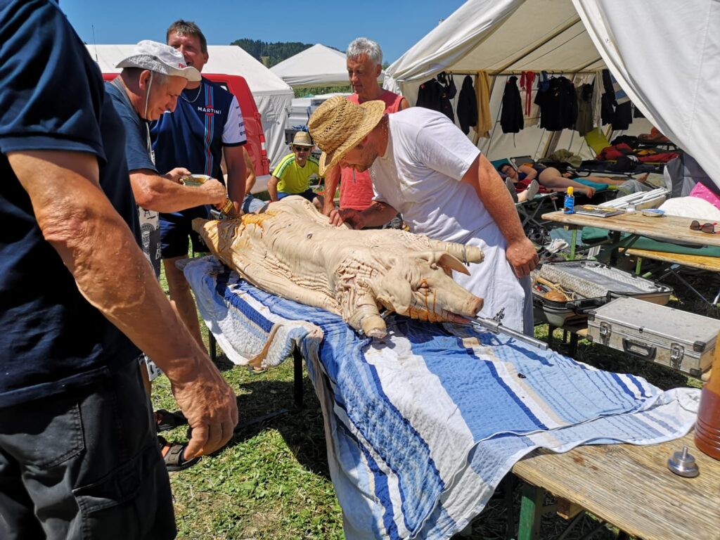 Landesfeuerwehrbewerb Traisen, 28.06.2019 -