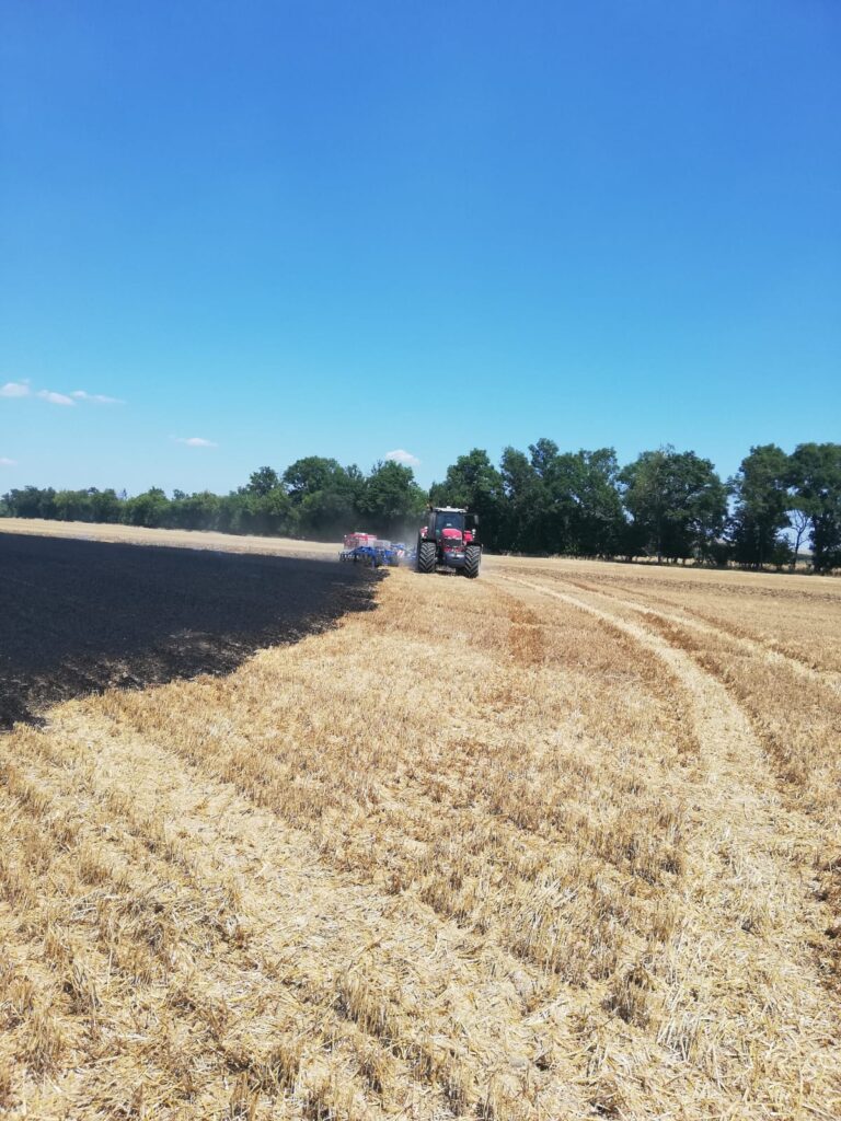 Flurbrand – 2019-07-25