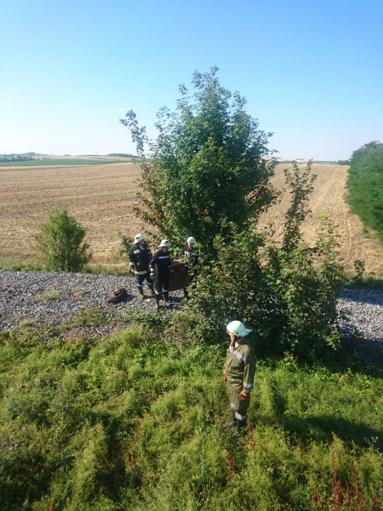 Verkehrsunfall mit Personenschaden – 2019-07-11