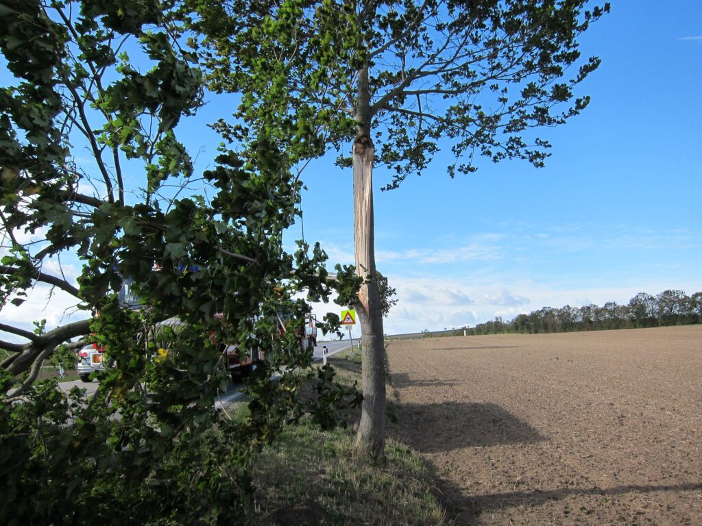 Sturmeinsatz – 2019-09-30