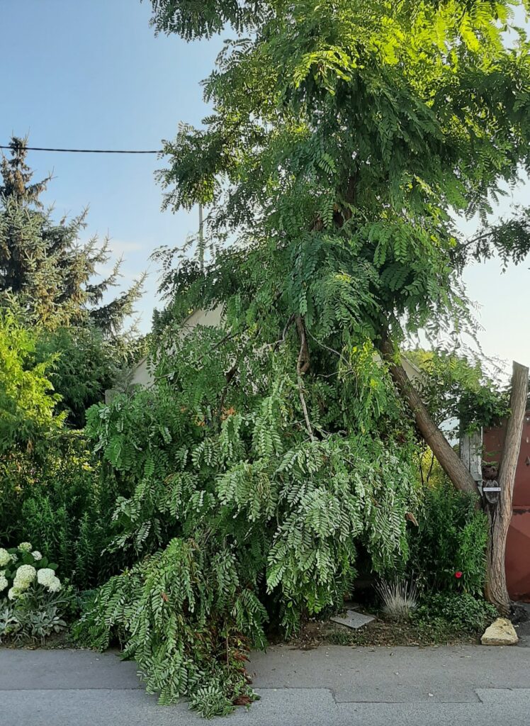 Sturmschaden – 2022-07-15