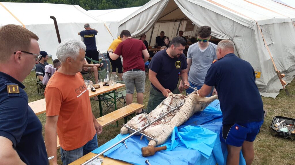 Landesfeuerwehrleistungsbewerb, Leobersdorf, 30.06.-