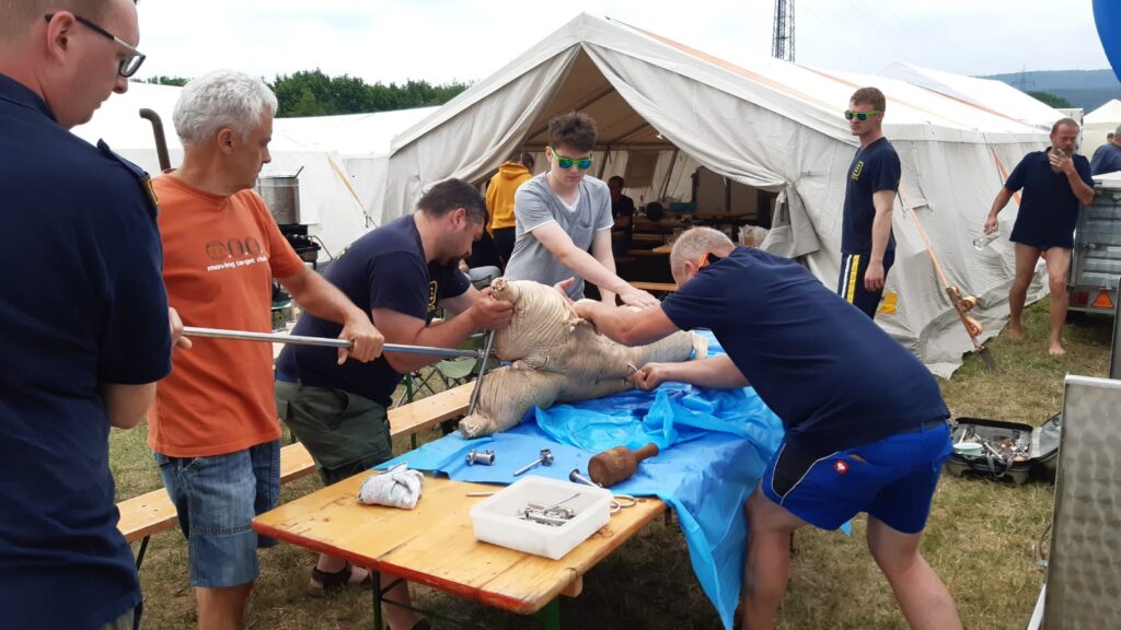 Landesfeuerwehrleistungsbewerb, Leobersdorf, 30.06.-