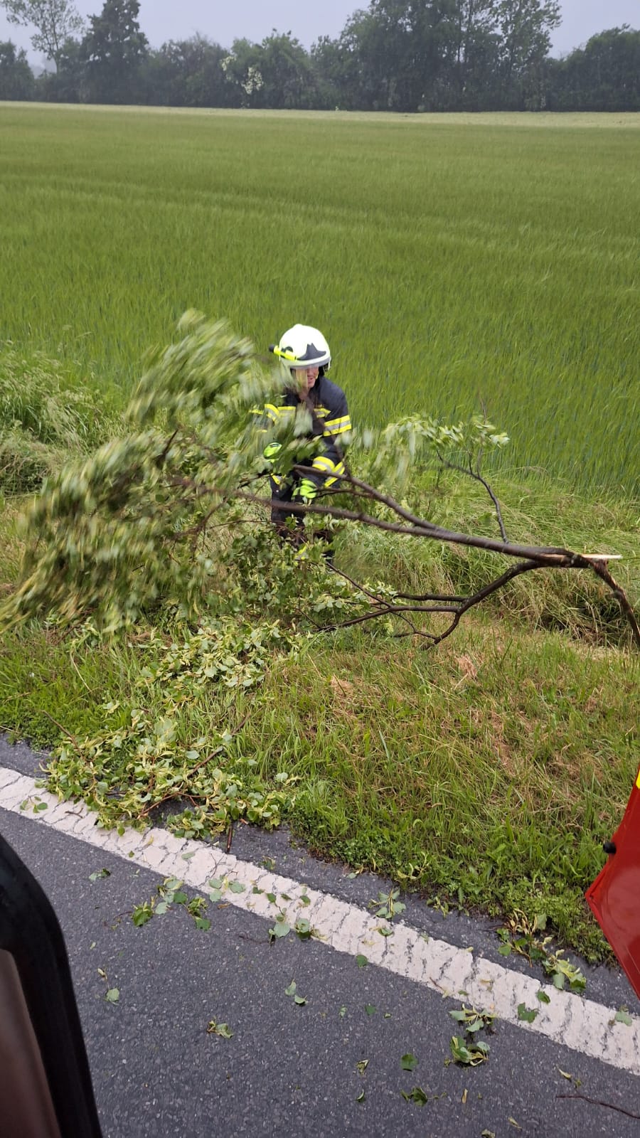 Unwetter - Baum auf Straße – 2025-06-02