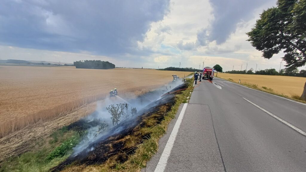 Vegetationsbrand - Freifläche – 2025-07-03