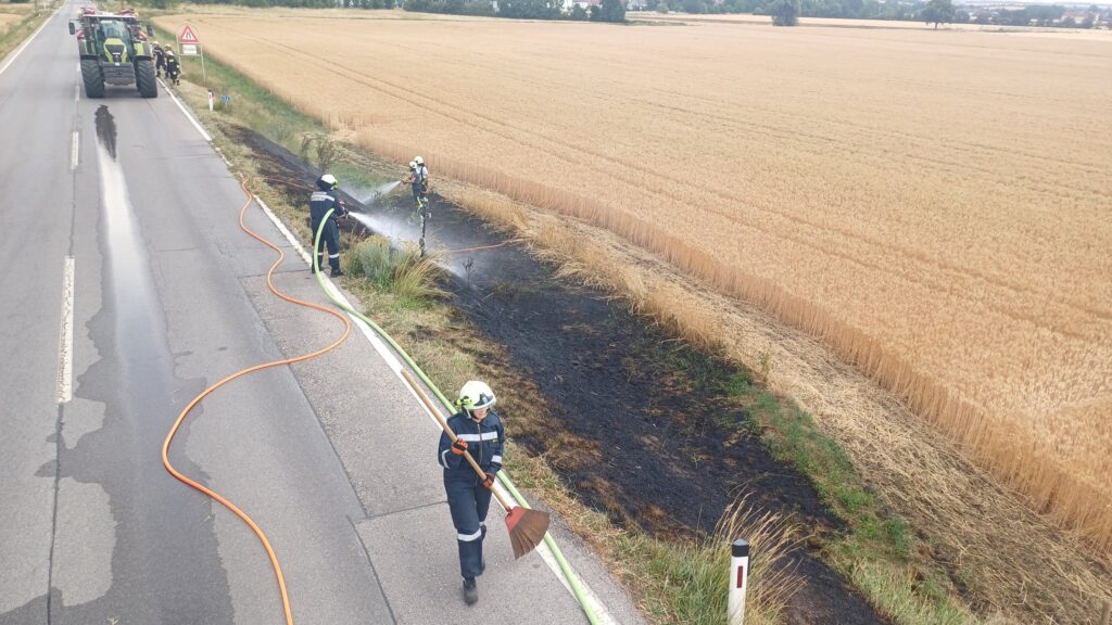 Vegetationsbrand - Freifläche – 2025-07-03