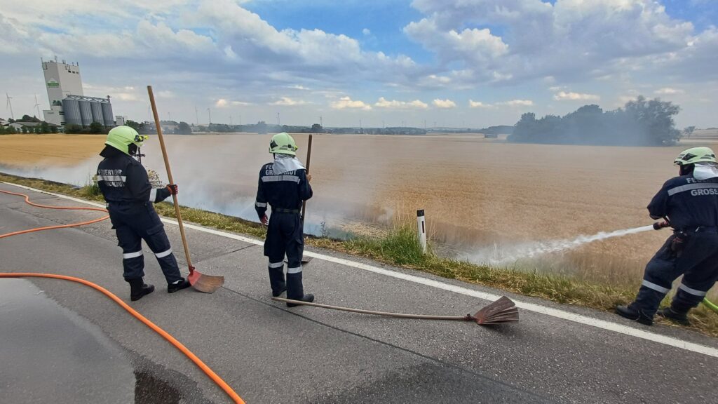 Vegetationsbrand - Freifläche – 2025-07-03