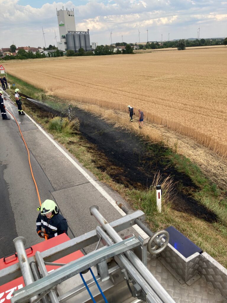 Vegetationsbrand - Freifläche – 2025-07-03