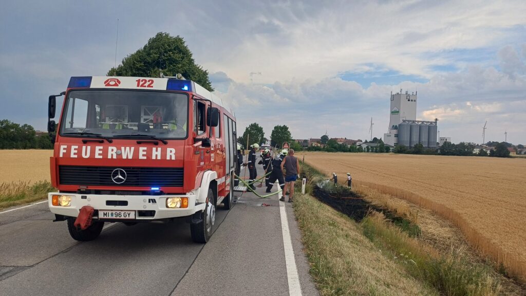 Vegetationsbrand - Freifläche – 2025-07-03