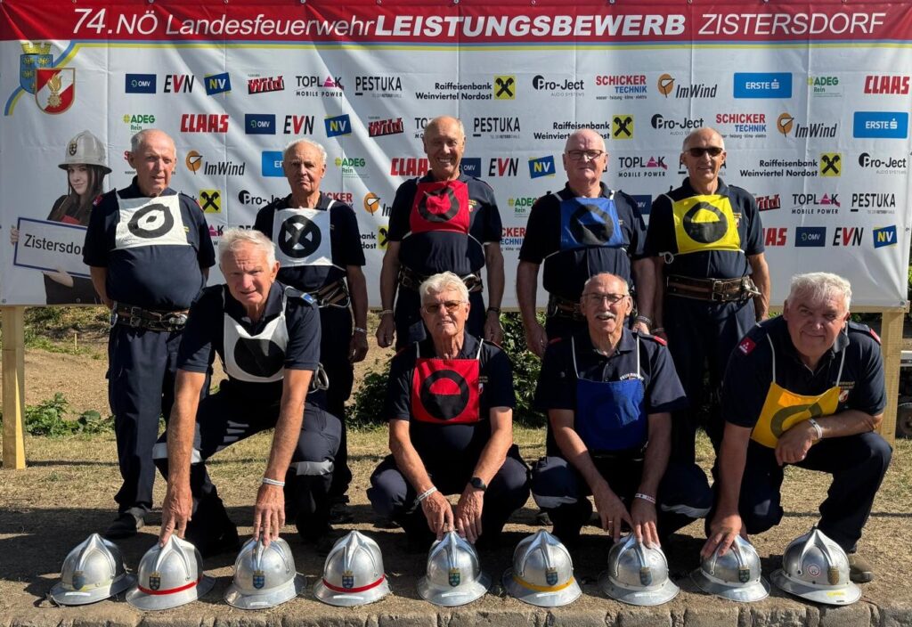 Landesfeuerwehrleistungsbewerbe, Zistersdorf, 03.